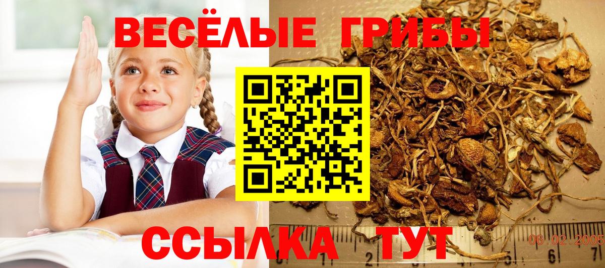 Галлюциногенные грибы ЛСД  Вход с VPN  Красноармейск 