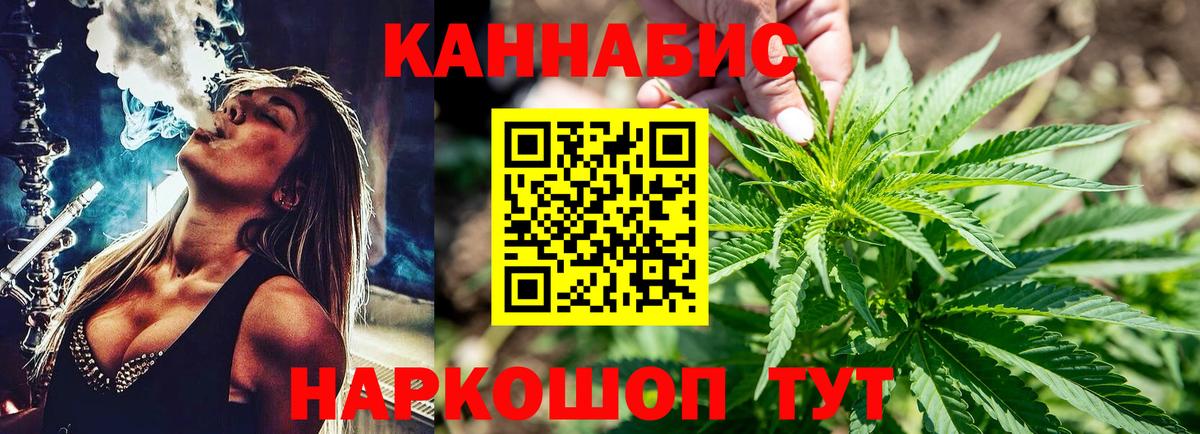 Бошки Шишки планчик Красноармейск